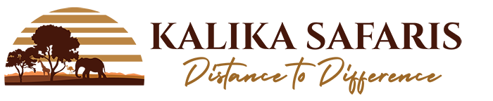 Kalika Safaris