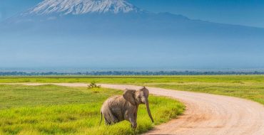 Amboseli National Park