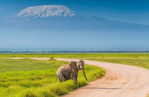 Amboseli National Park