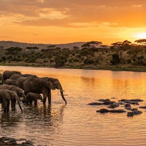 3-Day Queen Elizabeth Wildlife Safari