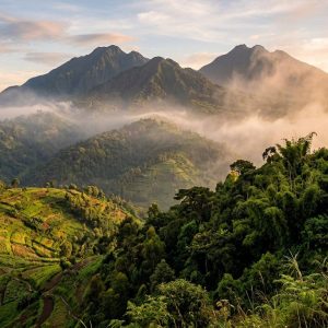 4-Day Rwanda Gorilla Trek & Kigali