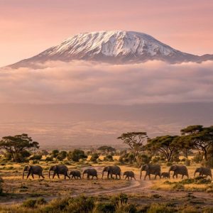 7-Day Tanzania Serengeti & Zanzibar
