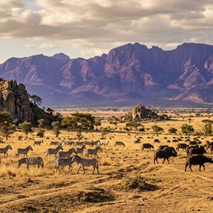5-Day Kidepo Valley Wilderness